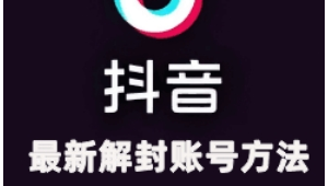 抖音实名号批发：便捷获取，满足多样需求
