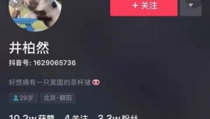 抖音账号购买 11：探寻背后故事与交易细节全知道